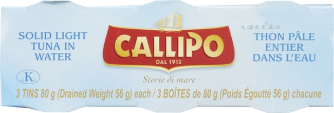 80 g Canned Tuna in Water