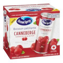 BOISSON PETILLANTE CANNEBERGE CAN