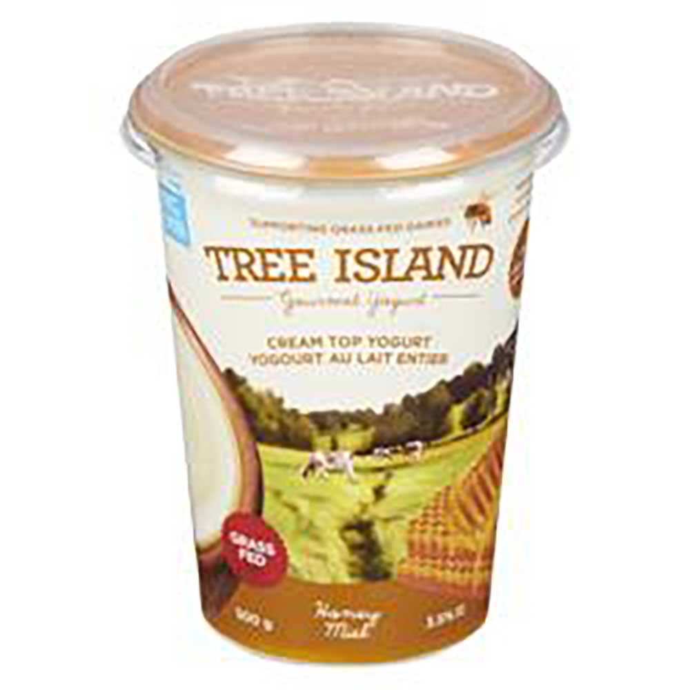 Honey Cream Top Yogurt