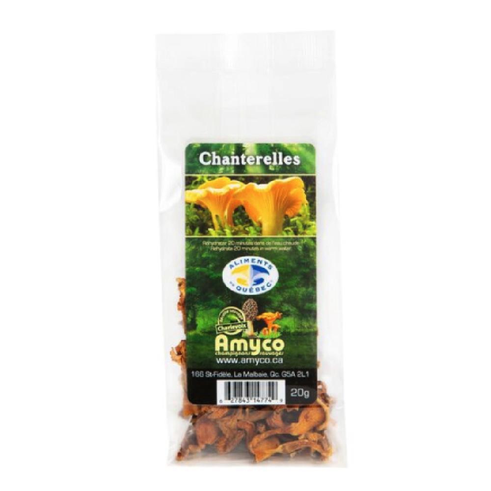 Chanterelle Mushroom