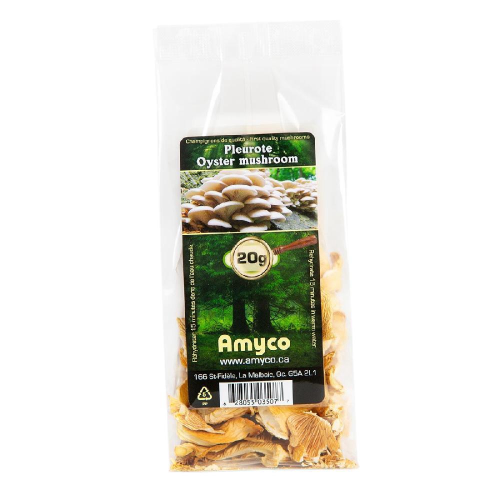 Hershey Oyster Mushroom