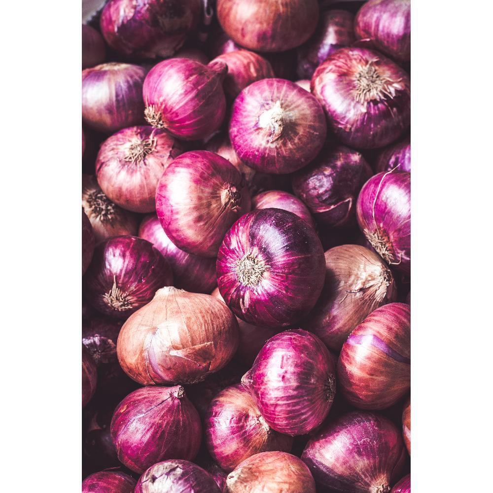 Red Oignon