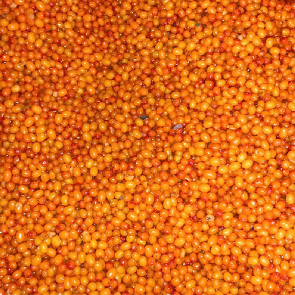 Sea Buckthorn Berry