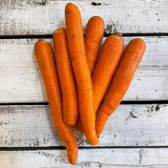 CARROT