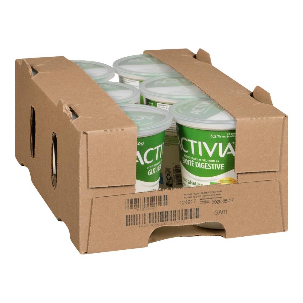 Plain Sugar Free Probiotics Yogurt