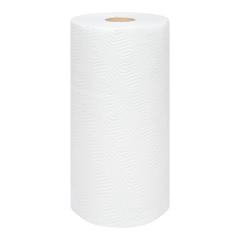 PROFESSIONAL TOWEL 210 SHEET