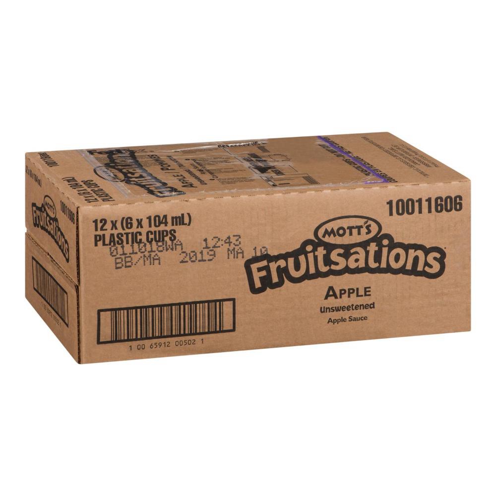 Sugar Free Apple Fruit Snack