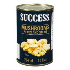 CHAMPIGNON MORCEAU AVEC PIED