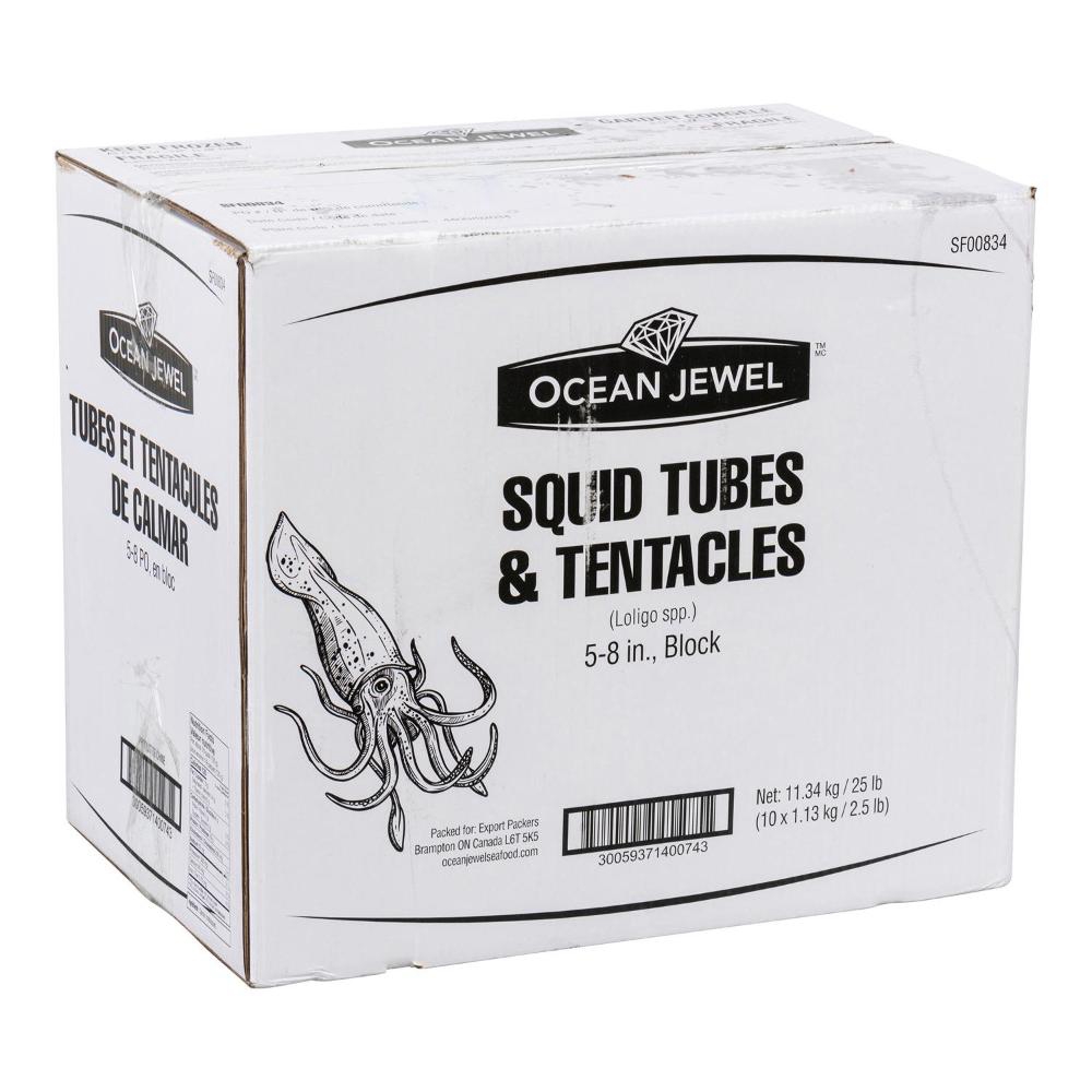 5-8 in Squid Tube and Tentacle