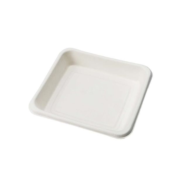 Beige Compostable Sugarcane Fibre Tray