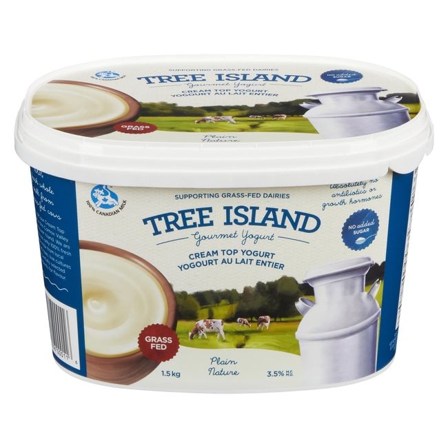 Cream Top Plain Yogurt