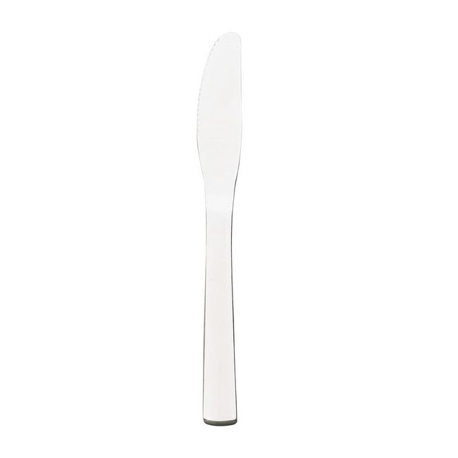 WIN2 13/0 Stainless Steel Mirror Finish Serrated Dinner Knife