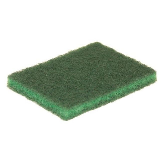 Scouring Pad
