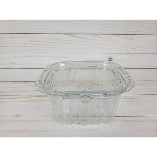 Clear Plastic Safety Lock Hinged Container
