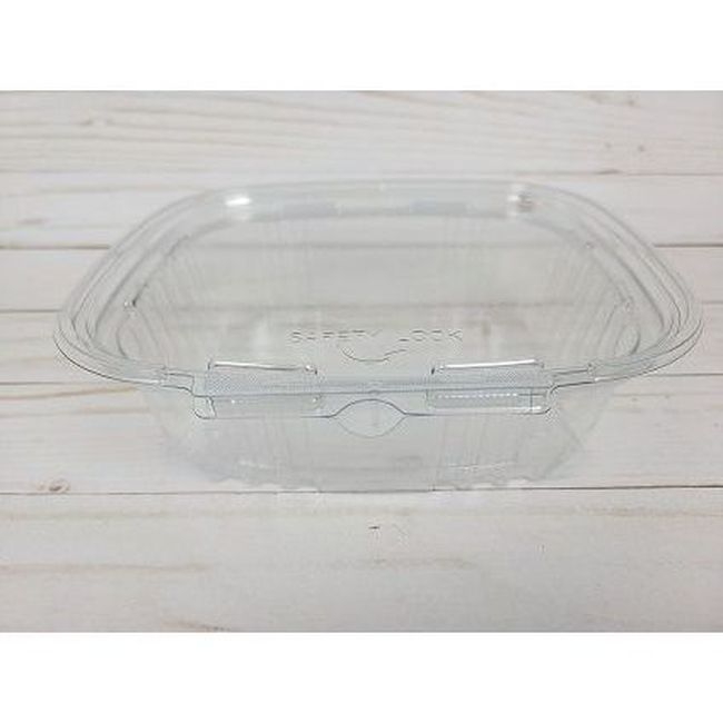 Clear Plastic Safety Lock Hinged Container