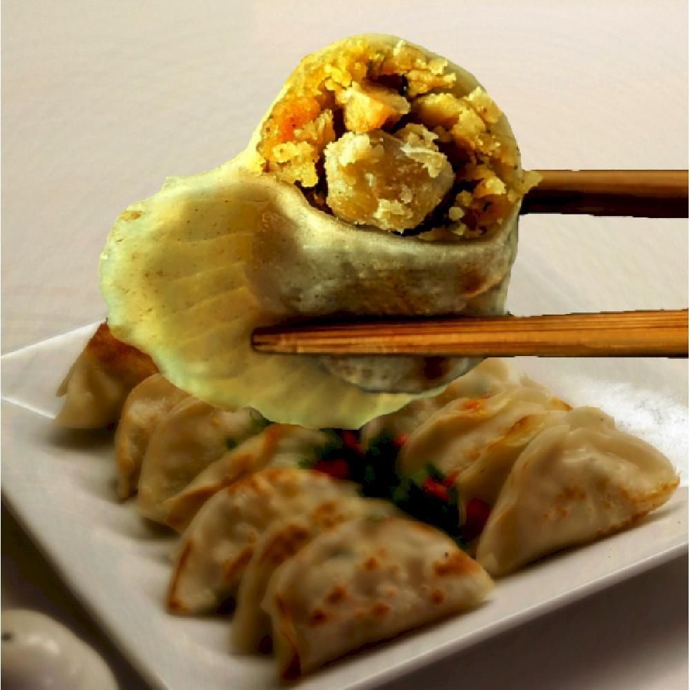 Fried Chicken Dumpling