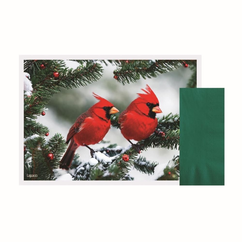 Cardinals 2023 Combo Kit