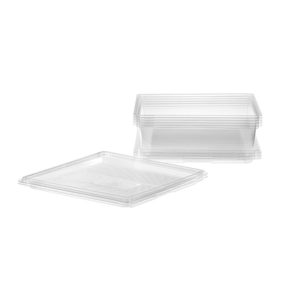 12 x 12 in Clear Plastic Square Festive Catering Tray