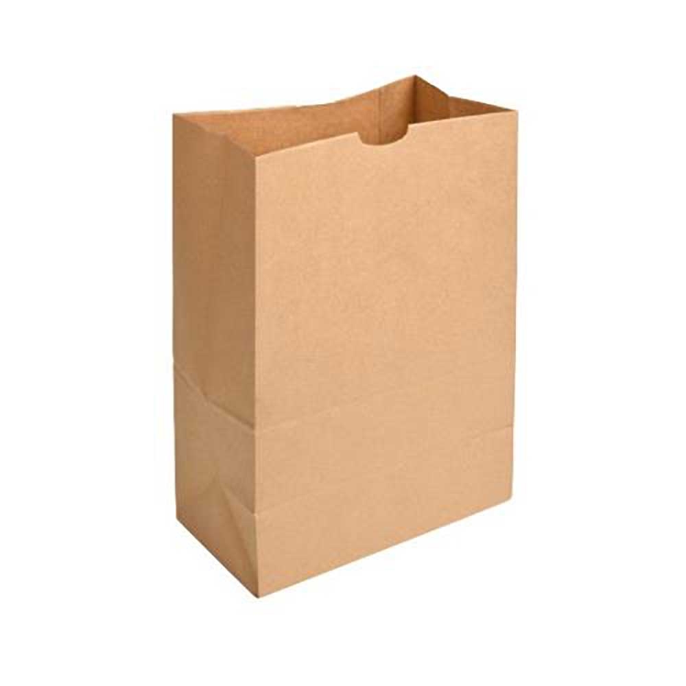 Kraft Paper Bag