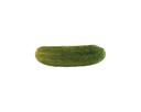 Bay Valley Foods 522 Kosher Whole Dill Pickle, 5 Gallon.