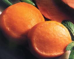 Product thumb gallery 50866583