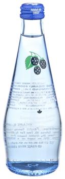Clearly Canadian Mountain Blackberry Sparkling Water, 11 Fluid Ounce -- 12 per case