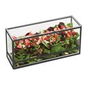 Cal-Mil Monterey Black Rectangle Presentation Case, 5 x 15 x 7 inch