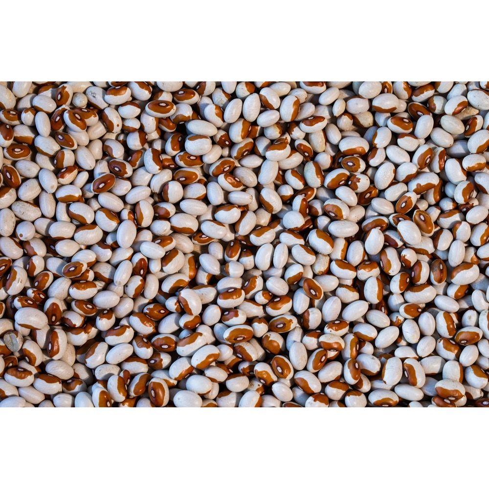 Product gallery 959620271