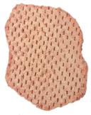 TNT Seasoned Homestyle Patty, 8 Ounce -- 20 per case