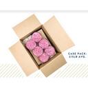 Le Stelle Pre Sliced Salami, 10 Pound