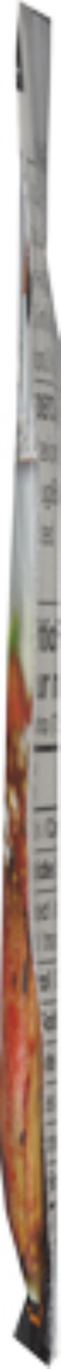 Product thumb gallery 52706125