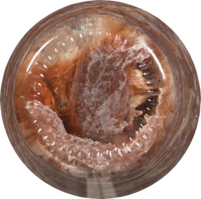 Product gallery 385540984