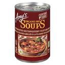 Fire Roasted Southwestern Vegetable Soup