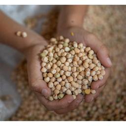 Product thumb gallery 329988873