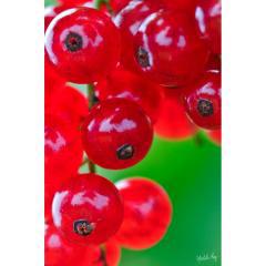 Product thumb gallery 055843403358_2