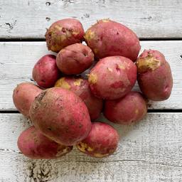 Product thumb gallery 785003813