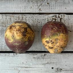 Product thumb gallery 215683668