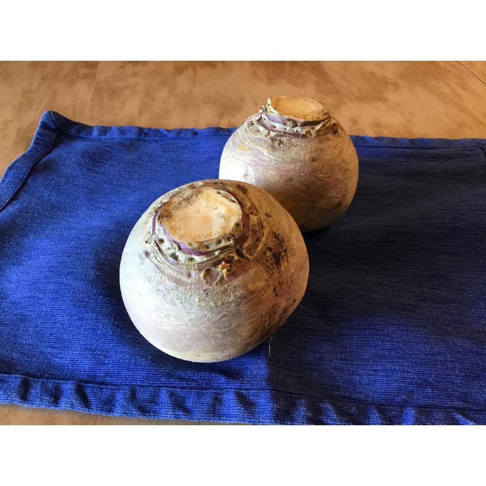 Product gallery 379526948