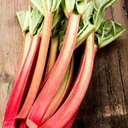 Product thumb gallery 628288370