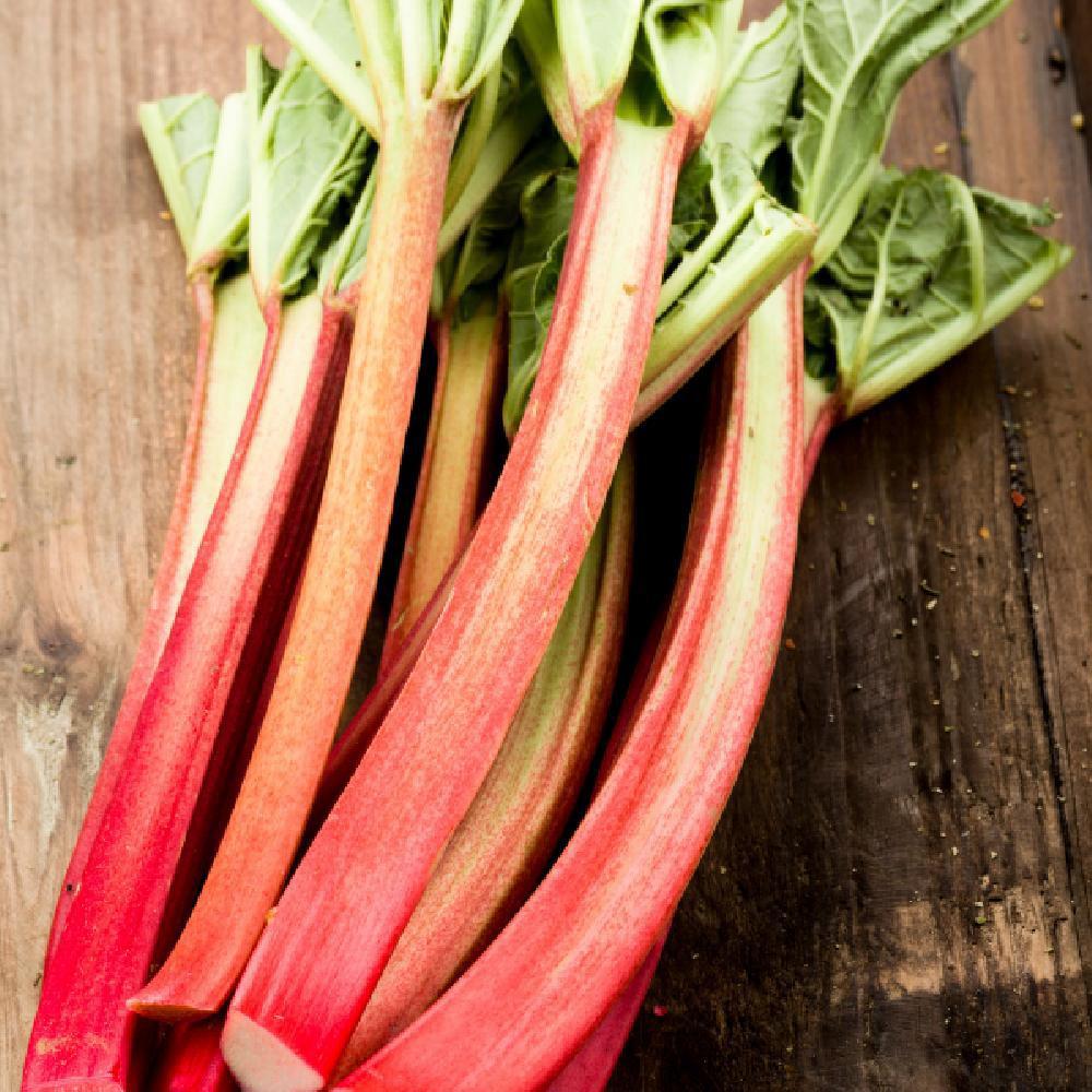 Product gallery 628288370