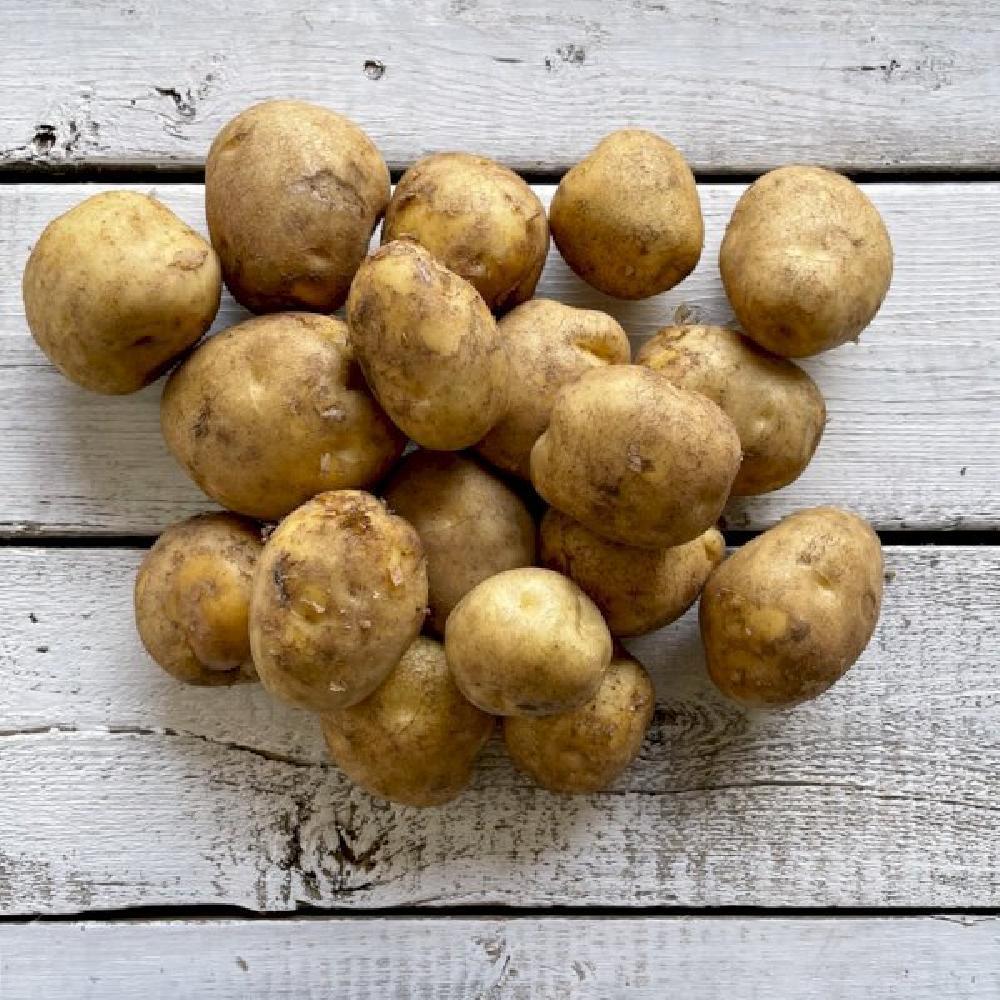 Product gallery 97923378