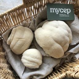 Product thumb gallery 311491496