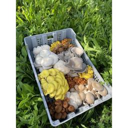 Product thumb gallery 674313937