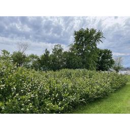 Product thumb gallery 636346075