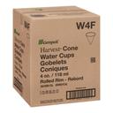 White Rolled Rim Paper Cone Cup