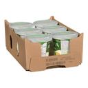 Vanilla Probiotics Yogurt