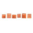 SALMON DICED RAW