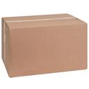 10 in Polypropylene Individually Wrapped Super Jumbo Straw