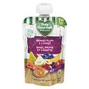 Organic Berries Plum Carrot Puree