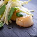 120-150 China Scallop